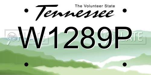 W1289P Tennessee License Plate