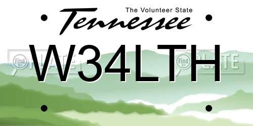 W34LTH Tennessee License Plate