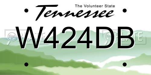 W424DB Tennessee License Plate