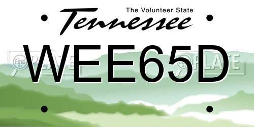 WEE65D Tennessee License Plate