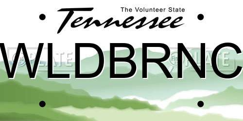WLDBRNC Tennessee License Plate