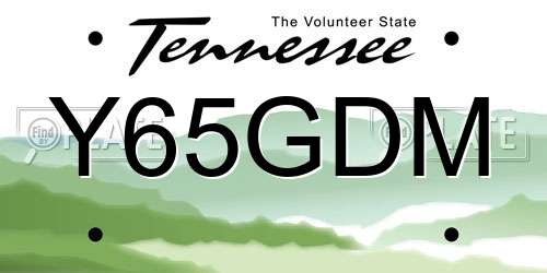 Y65GDM Tennessee License Plate