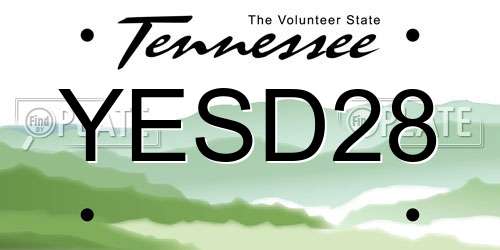 YESD28 Tennessee License Plate
