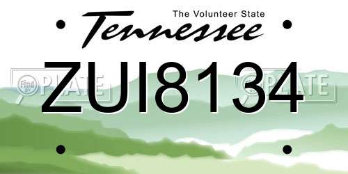 ZUI8134 Tennessee License Plate
