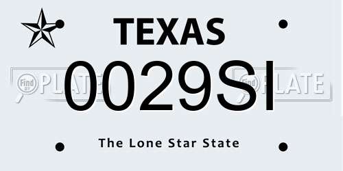 0029SI Texas License Plate