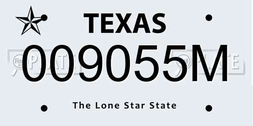 009055M Texas License Plate
