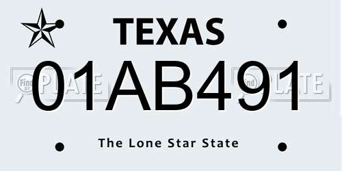01AB491 Texas License Plate