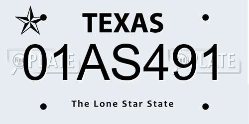 01AS491 Texas License Plate