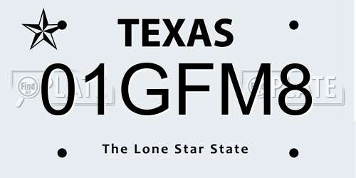 01GFM8 Texas License Plate