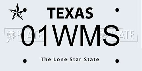 01WMS Texas License Plate