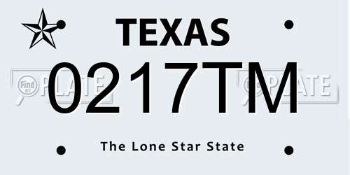 0217TM Texas License Plate