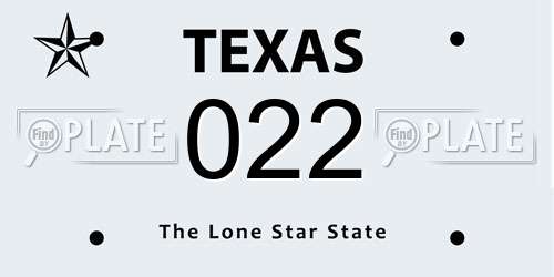 022 Texas License Plate