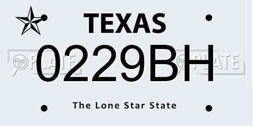 0229BH Texas License Plate