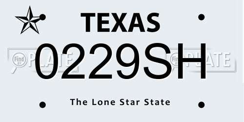 0229SH Texas License Plate