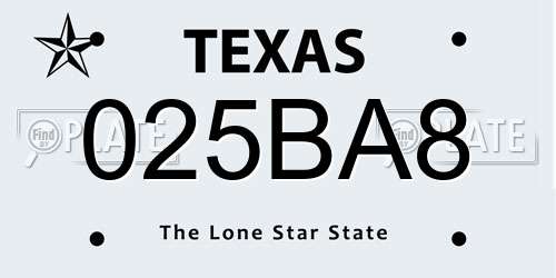 025BA8 Texas License Plate