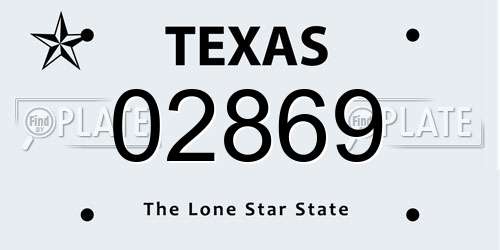 02869 Texas License Plate