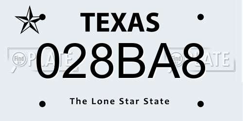 028BA8 Texas License Plate
