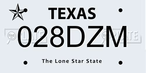 028DZM Texas License Plate