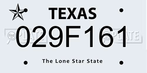 029F161 Texas License Plate