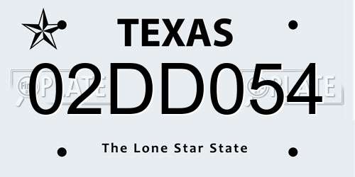 02DD054 Texas License Plate