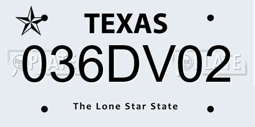 036DV02 Texas License Plate
