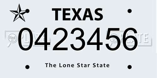 0423456 Texas License Plate