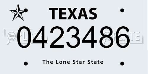 0423486 Texas License Plate