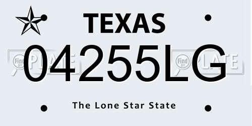 04255LG Texas License Plate