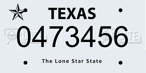 0473456 Texas License Plate