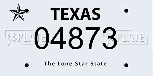 04873 Texas License Plate