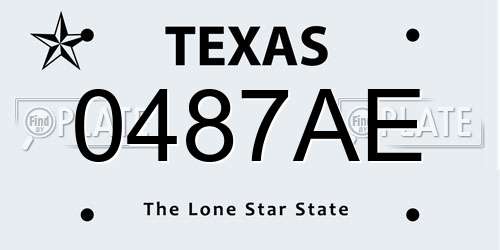 0487AE Texas License Plate