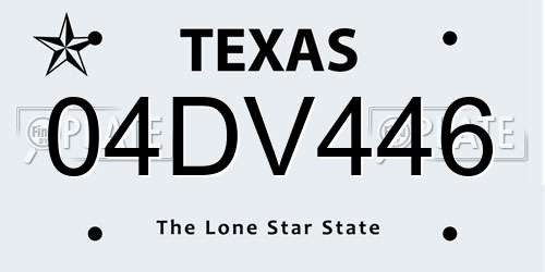 04DV446 Texas License Plate