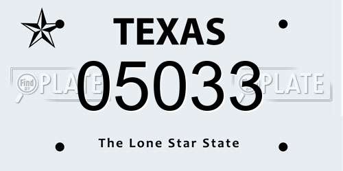 05033 Texas License Plate