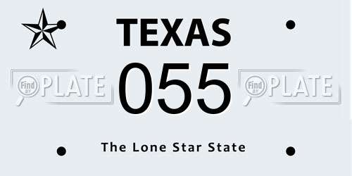 055 Texas License Plate