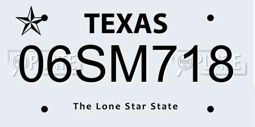 06SM718 Texas License Plate