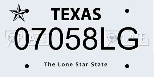 07058LG Texas License Plate