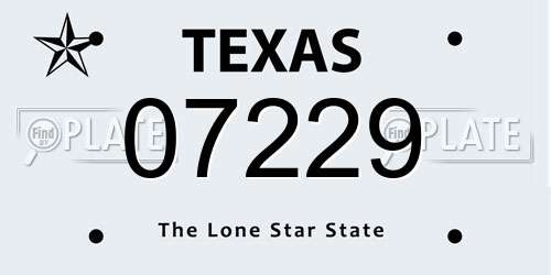 07229 Texas License Plate
