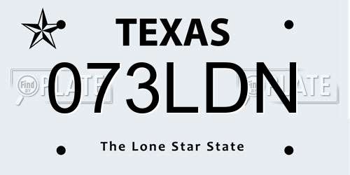 073LDN Texas License Plate