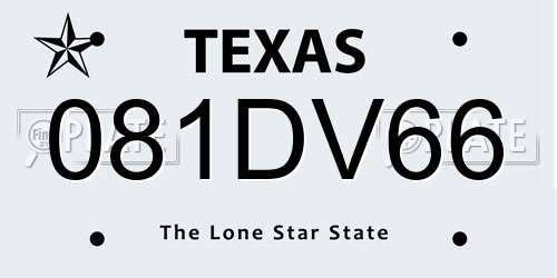 081DV66 Texas License Plate