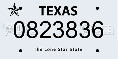 0823836 Texas License Plate
