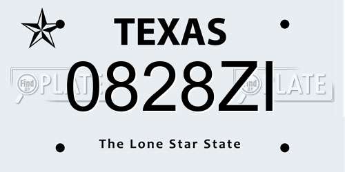 0828ZI Texas License Plate