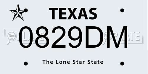 0829DM Texas License Plate