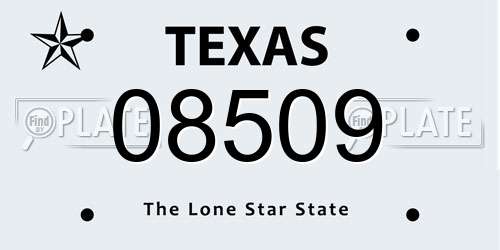 08509 Texas License Plate