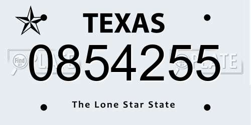 0854255 Texas License Plate