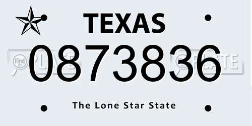 0873836 Texas License Plate