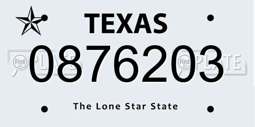0876203 Texas License Plate