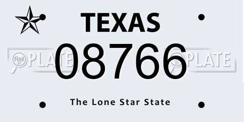 08766 Texas License Plate