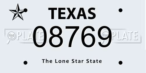 08769 Texas License Plate