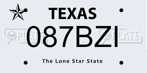 087BZI Texas License Plate