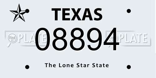 08894 Texas License Plate